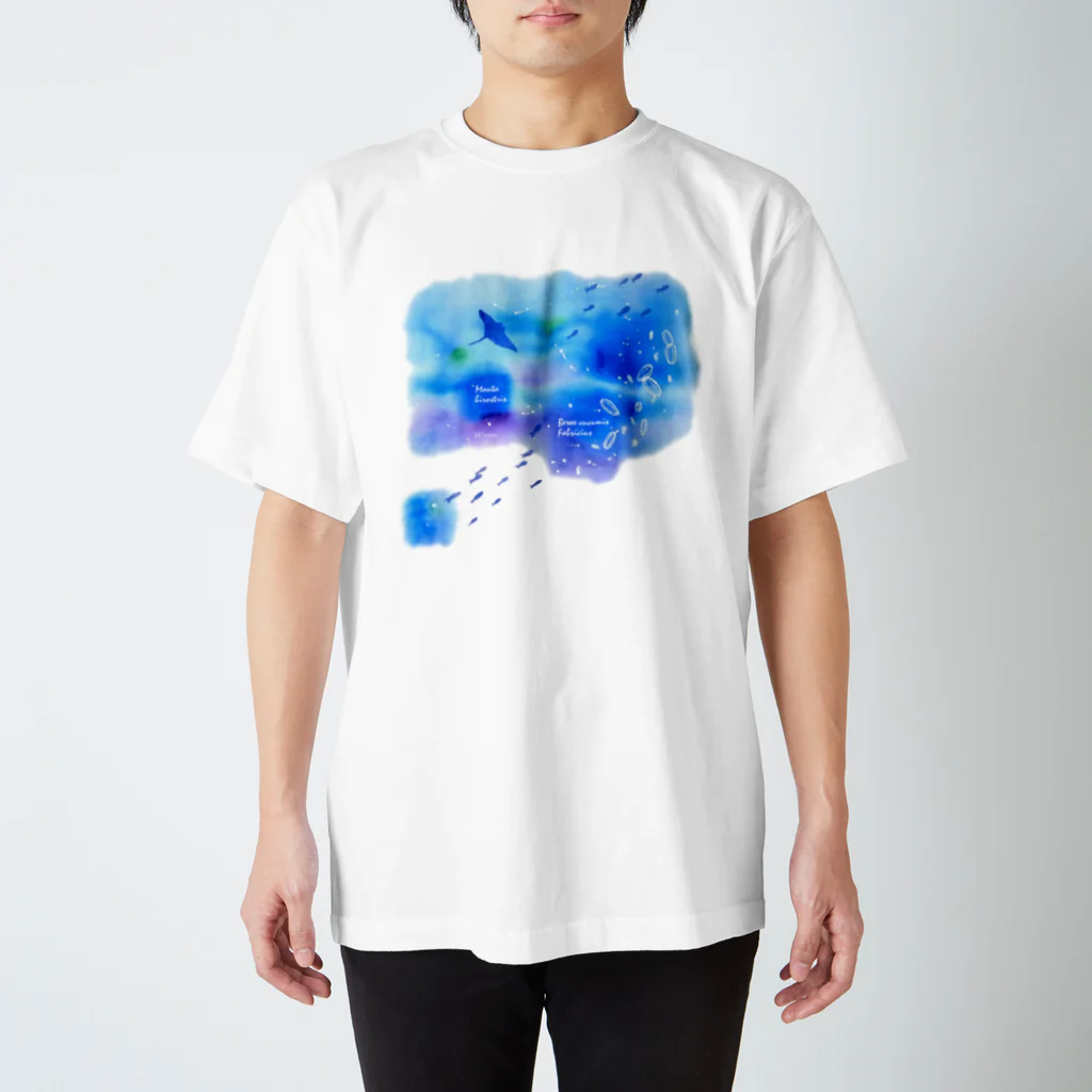 Hi*roomのウリクラゲとマンタの四角い海 スタンダードTシャツ