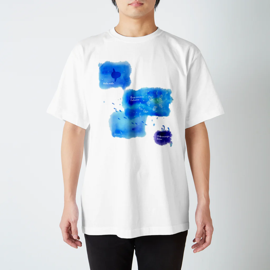 Hi*roomのウリクラゲとマンボウとチンアナゴの四角い海 Regular Fit T-Shirt