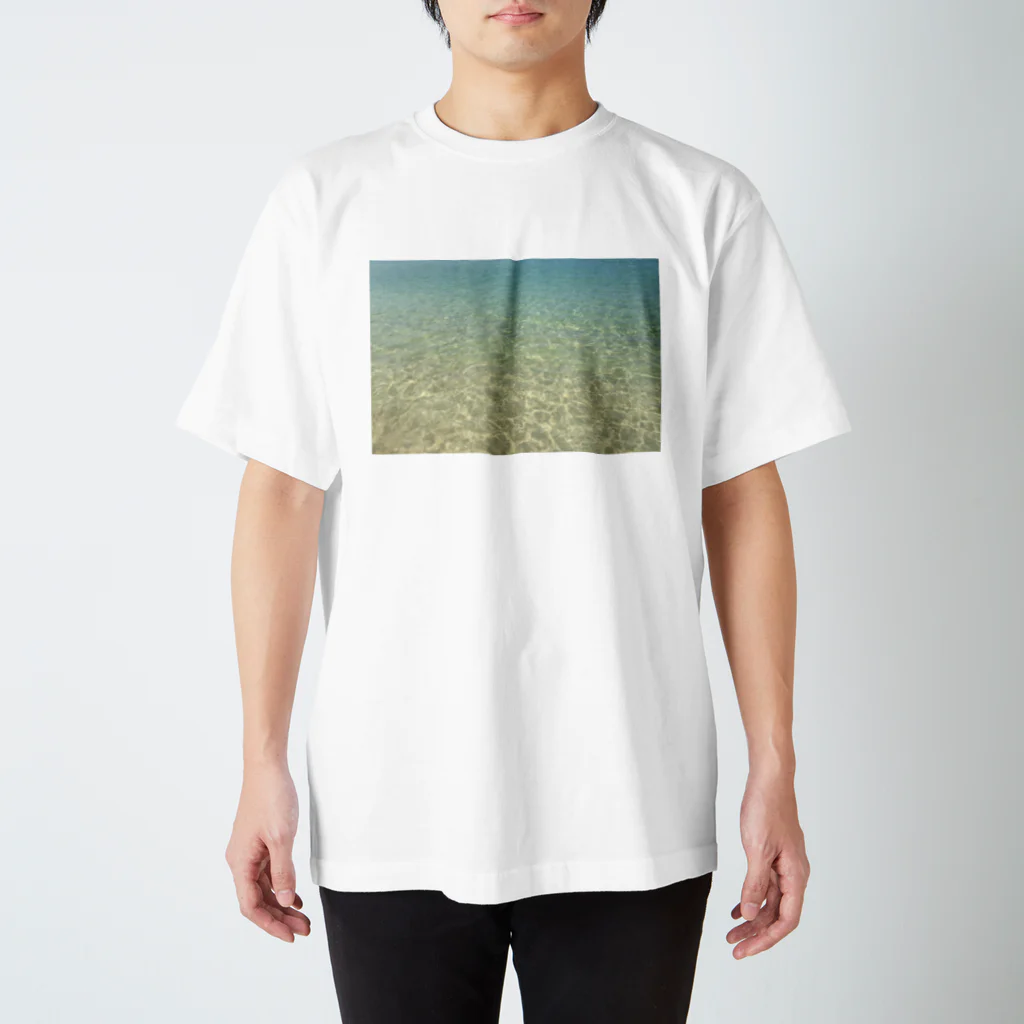 N510の海辺 Regular Fit T-Shirt