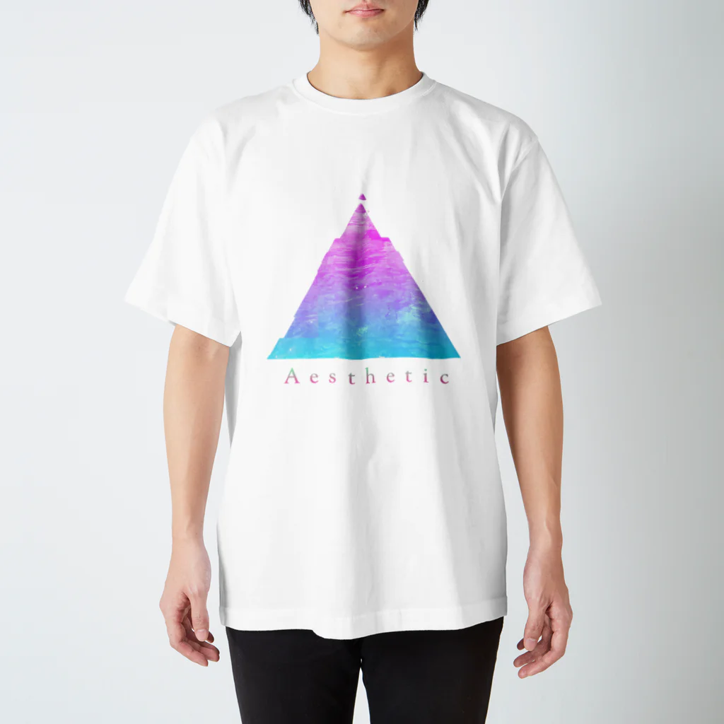 nonameのAesthetic スタンダードTシャツ