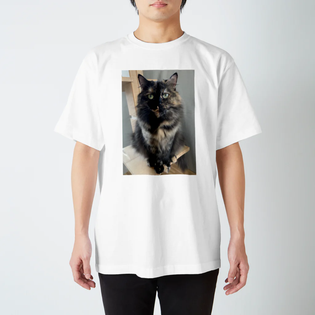 ネコまにあ 【12匹の猫➕うずら】のサビ猫すみれちゃん スタンダードTシャツ