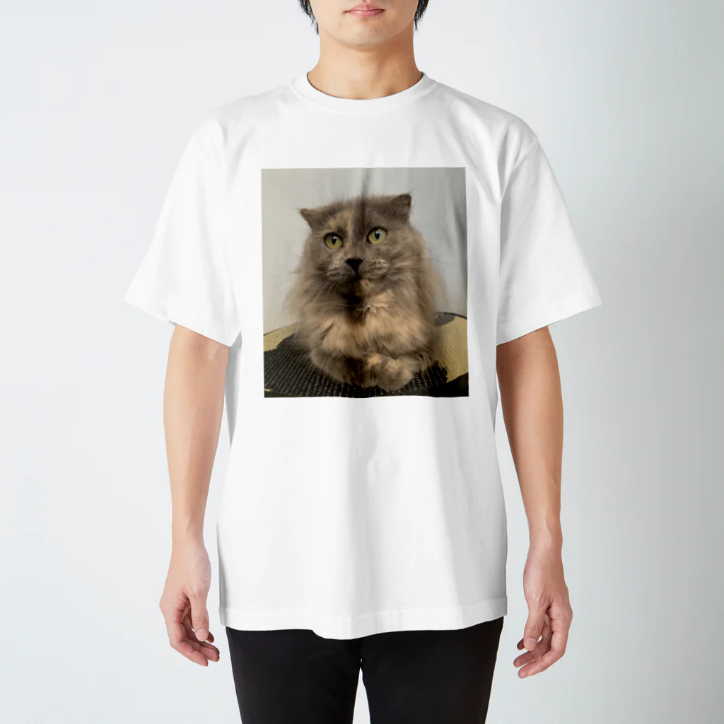 ネコまにあ 【12匹の猫➕うずら】のサビ猫はなちゃん Regular Fit T-Shirt