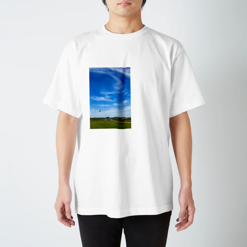 旅先pics📸の河原のグライダー スタンダードTシャツ