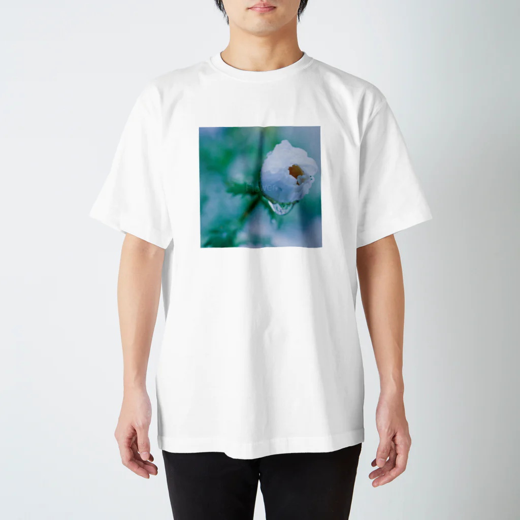 旅先pics📸の水が滴る白い花の蕾 スタンダードTシャツ