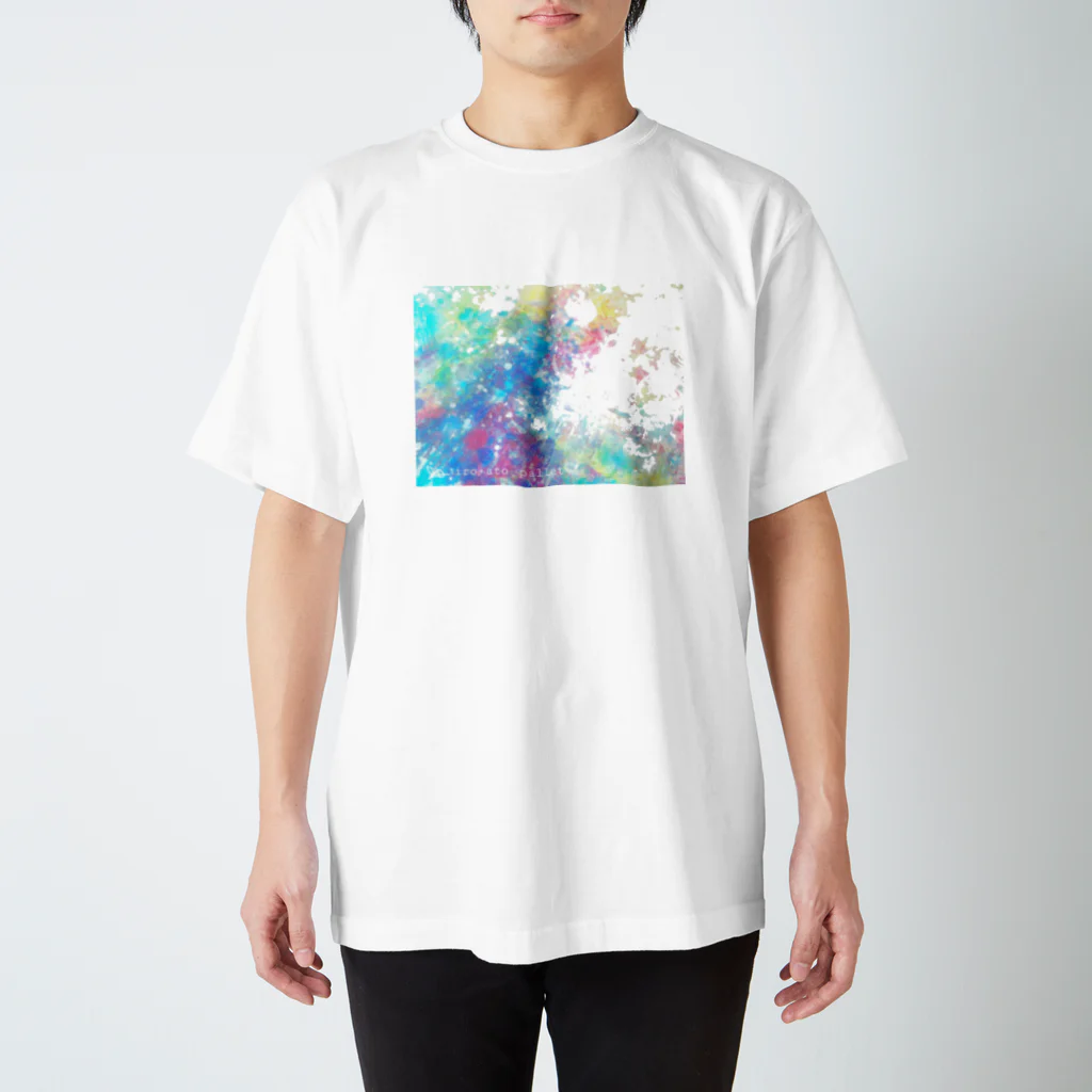 iro+ato paletteのcolourful canvas Regular Fit T-Shirt