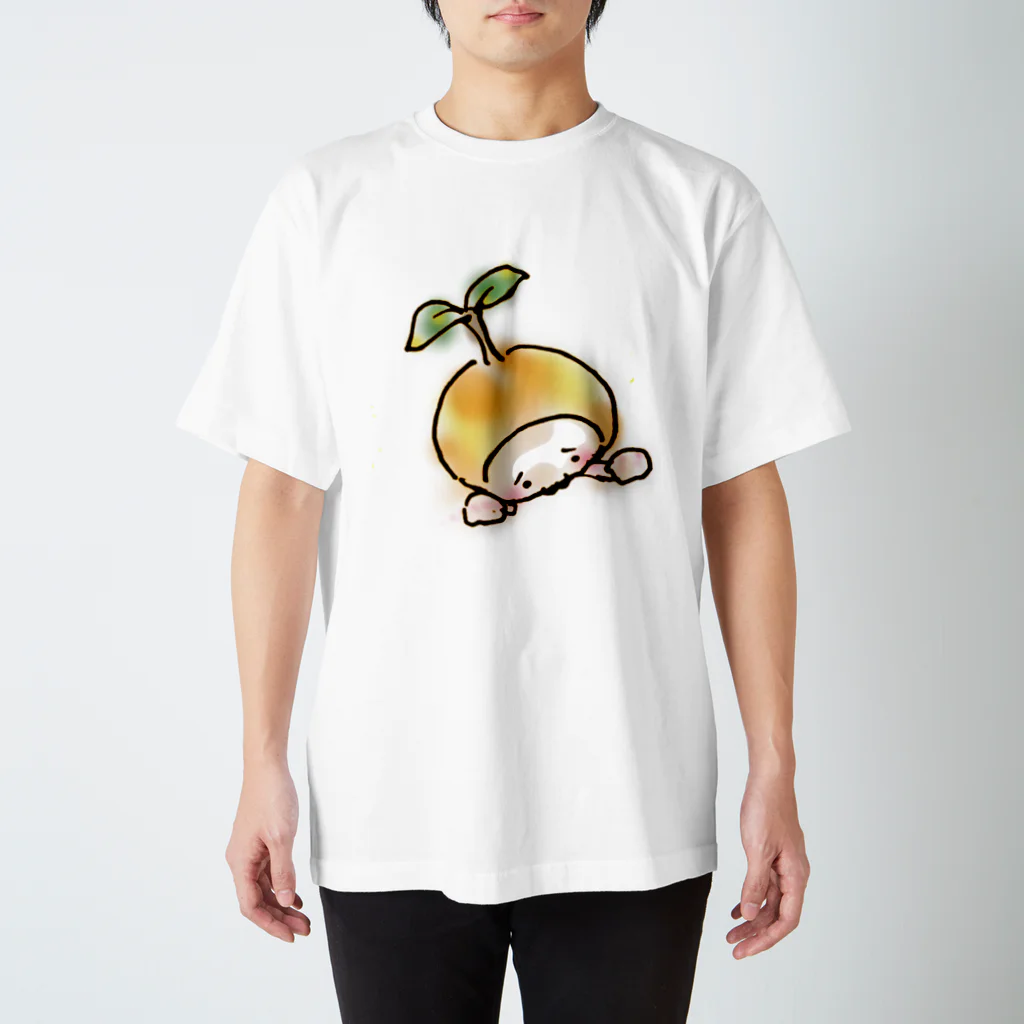 だっこだっこの杏ちゃん スタンダードTシャツ