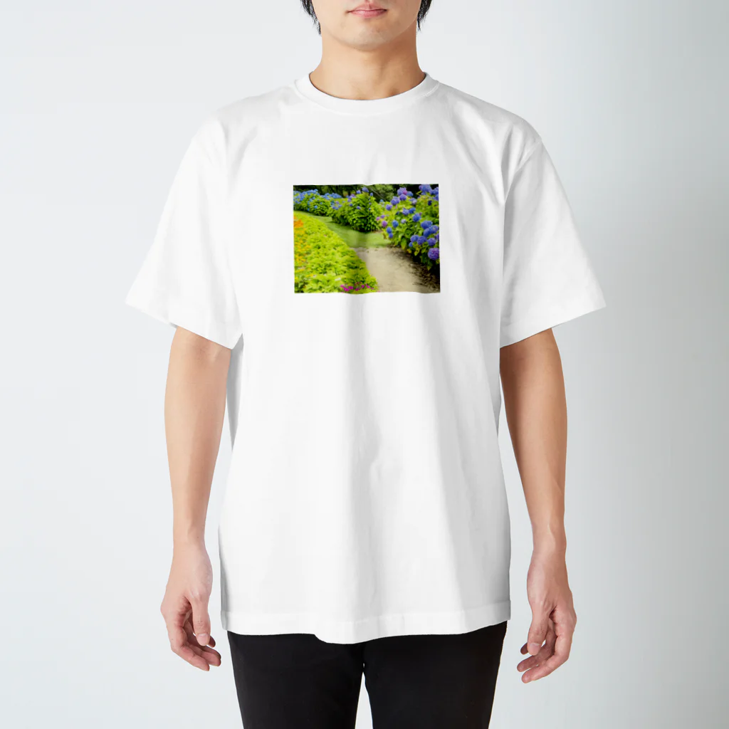 ayanasoraの並木道 Regular Fit T-Shirt