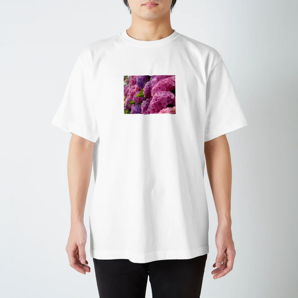 K-ioriの季節の花　紫陽花 スタンダードTシャツ