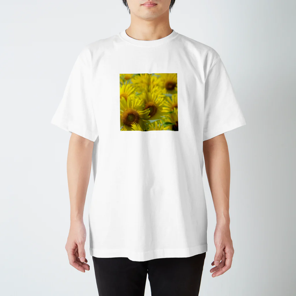 K-ioriの季節の花　ひまわり スタンダードTシャツ