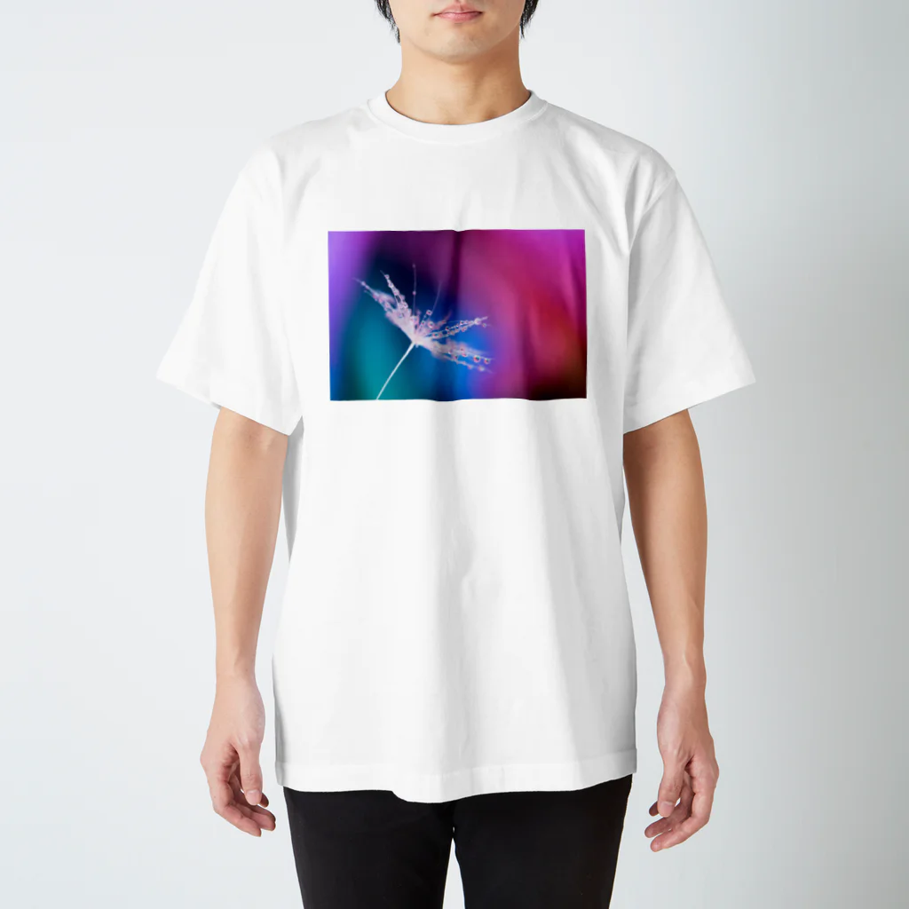 PhotoAtelier AileのRainbow Rose Drops 180211 スタンダードTシャツ