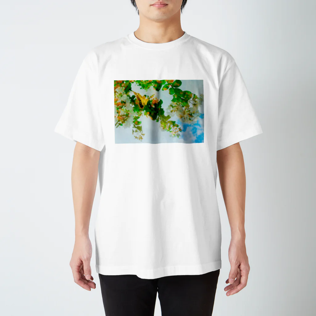 ＊KaO＊イロトリドリのあの空 スタンダードTシャツ