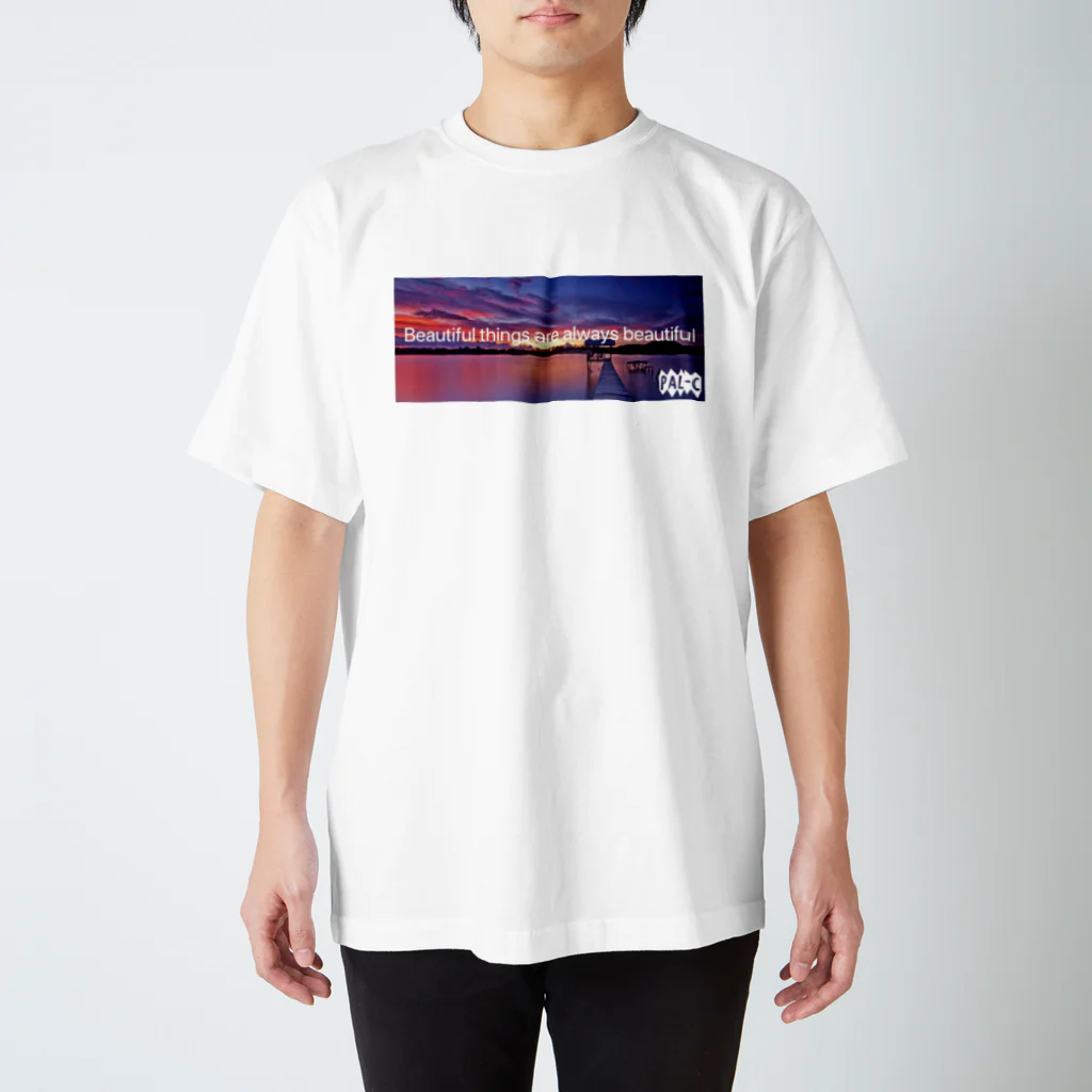 PAL-CのPAL-C スタンダードTシャツ