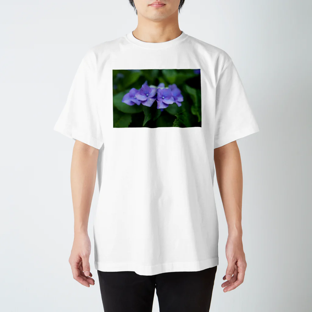 gallery_yukoの紫陽花 スタンダードTシャツ