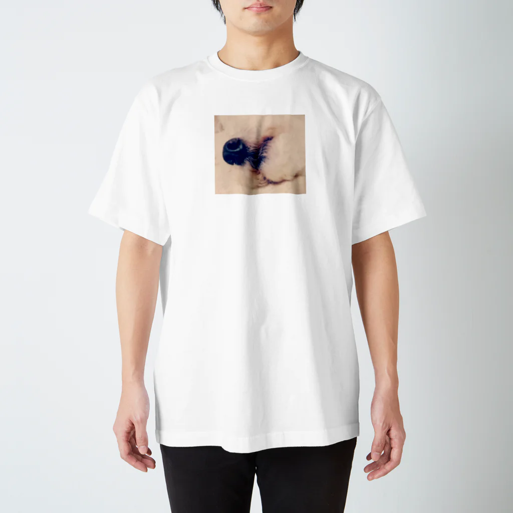 saryuyaのいぬのくちもと Regular Fit T-Shirt