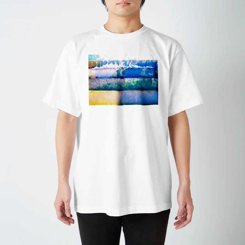 イボナッツのベニスの階段 スタンダードTシャツ