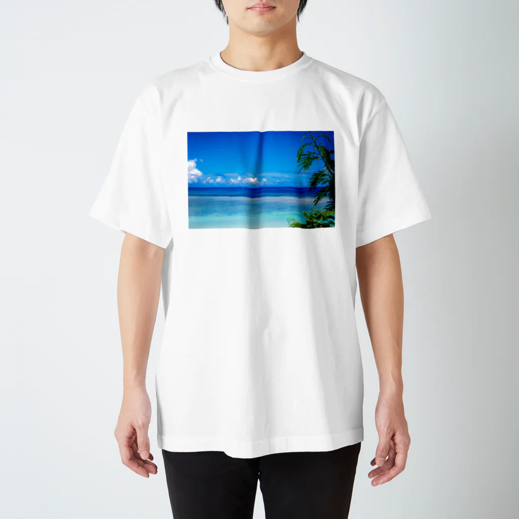 mizuphoto galleryのHealing Blue Regular Fit T-Shirt