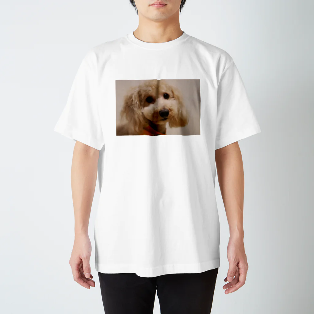 りなの犬 スタンダードTシャツ