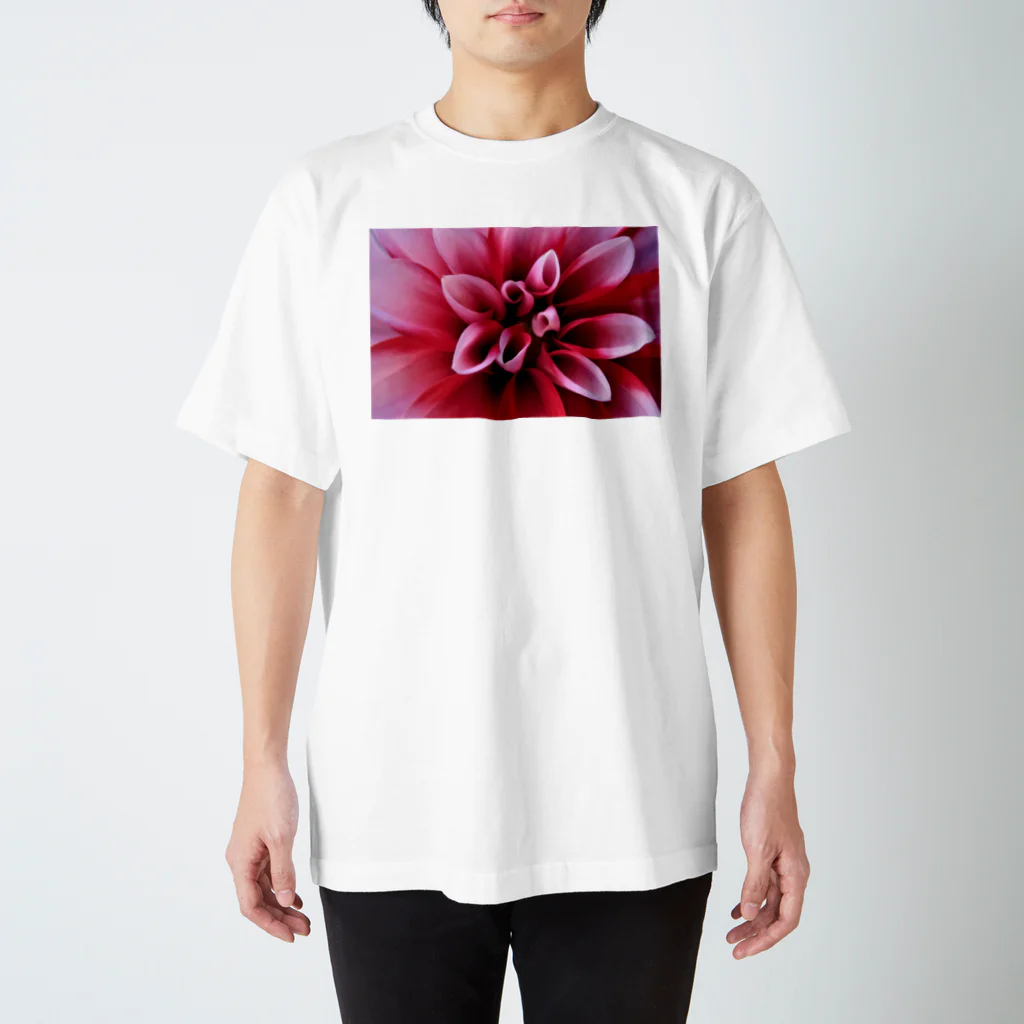 nonbirieartのボタニカルデザイン Regular Fit T-Shirt