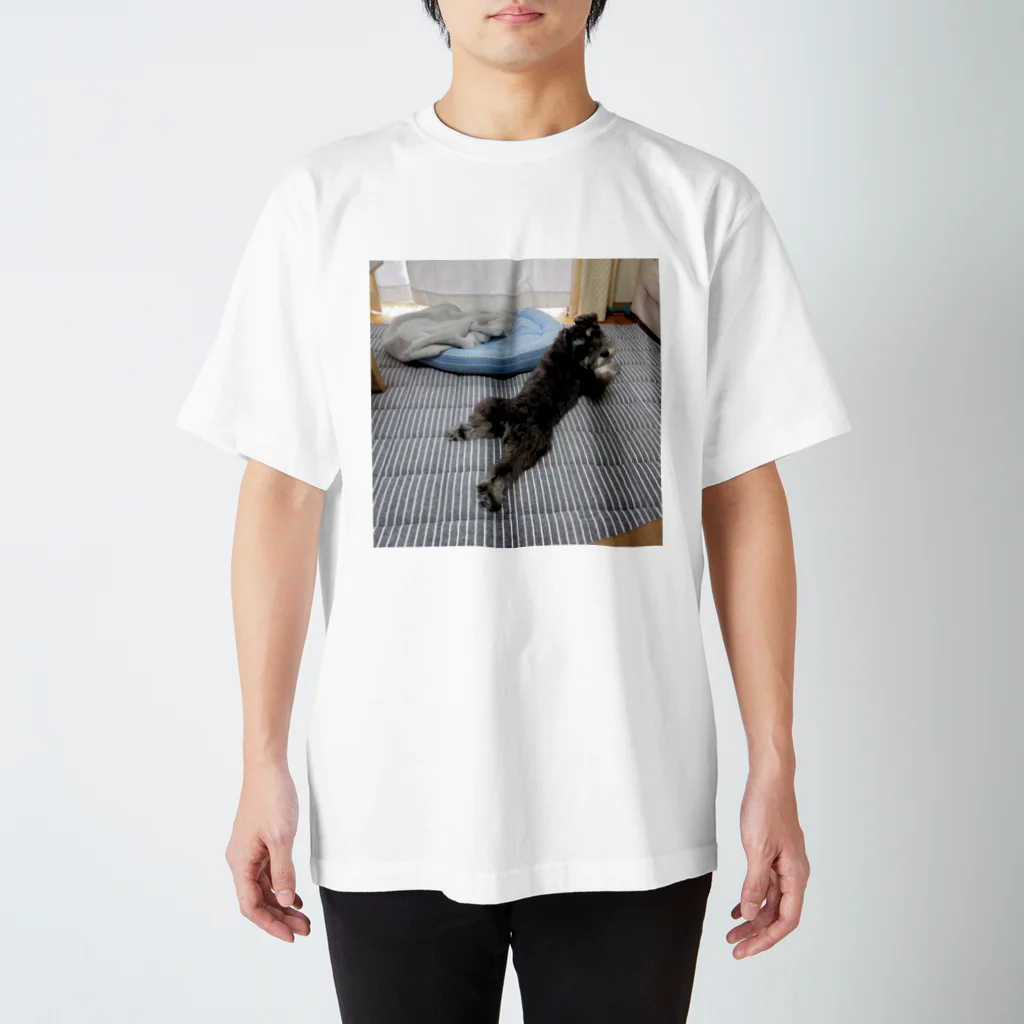 浩のモコ Regular Fit T-Shirt