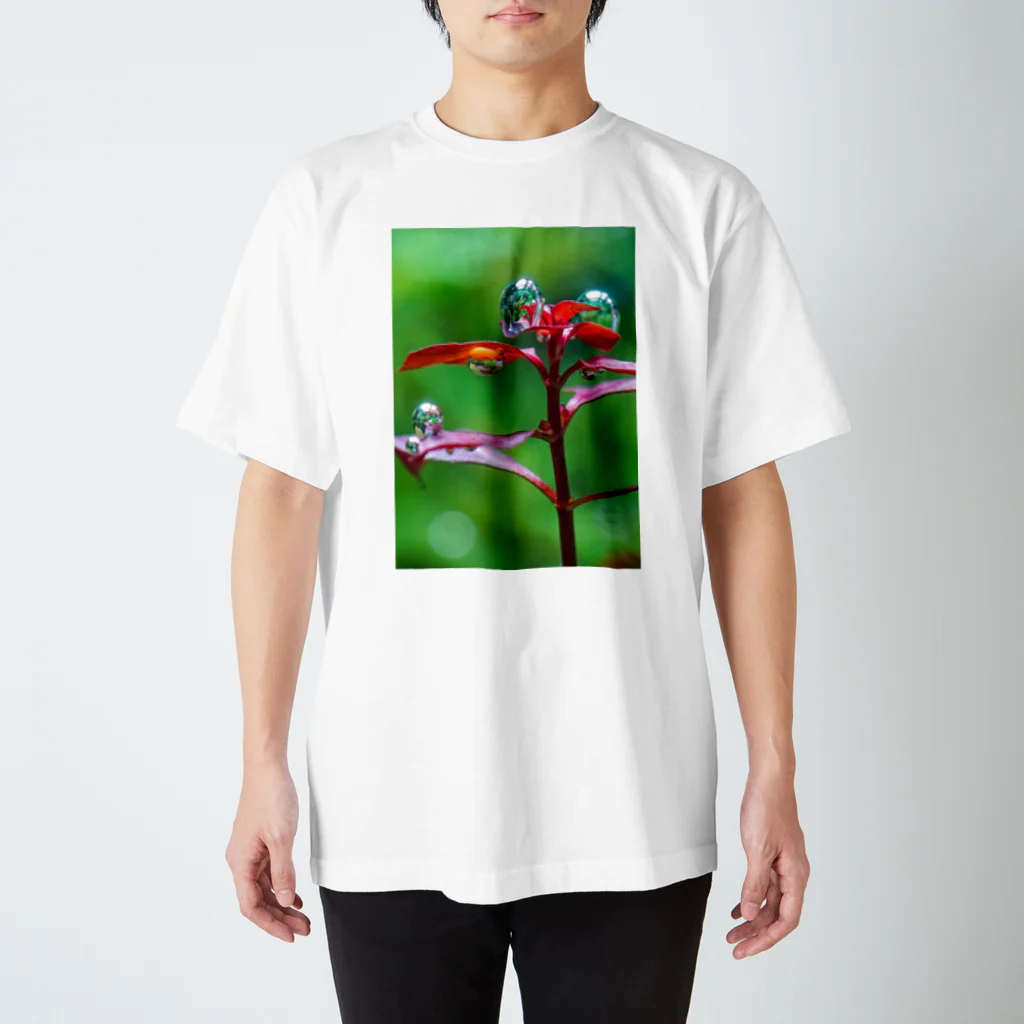 KAERUCAFE SHOPの水草の気泡 Regular Fit T-Shirt