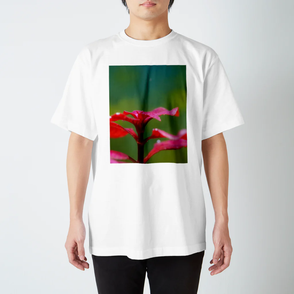 KAERUCAFE SHOPの水草の気泡 スタンダードTシャツ