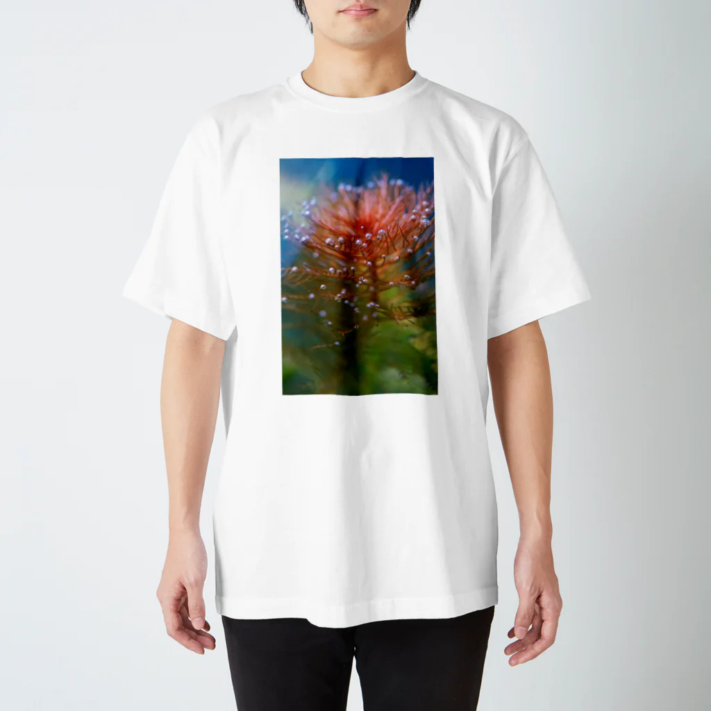 KAERUCAFE SHOPの水草の気泡 Regular Fit T-Shirt