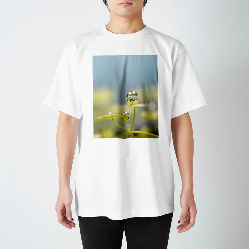 KAERUCAFE SHOPの水草の気泡 Regular Fit T-Shirt