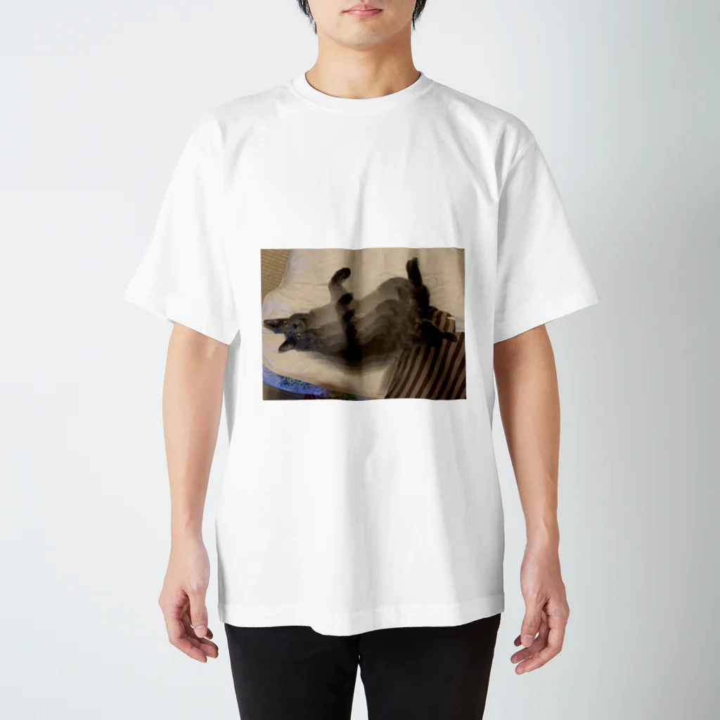 ＳＺＵＫＩのグレッチ Regular Fit T-Shirt