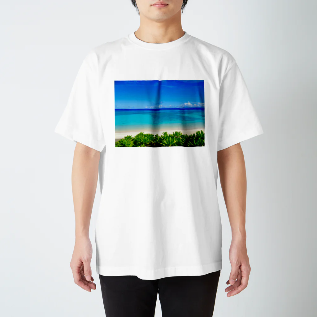 mizuphoto galleryの夏の扉 Regular Fit T-Shirt