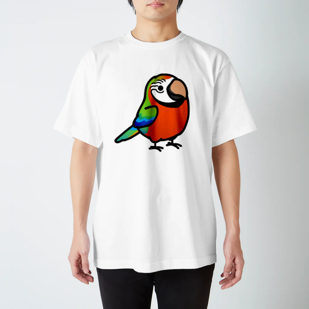 Cody the LovebirdのChubby Bird ハルクインコンゴウインコ スタンダードTシャツ