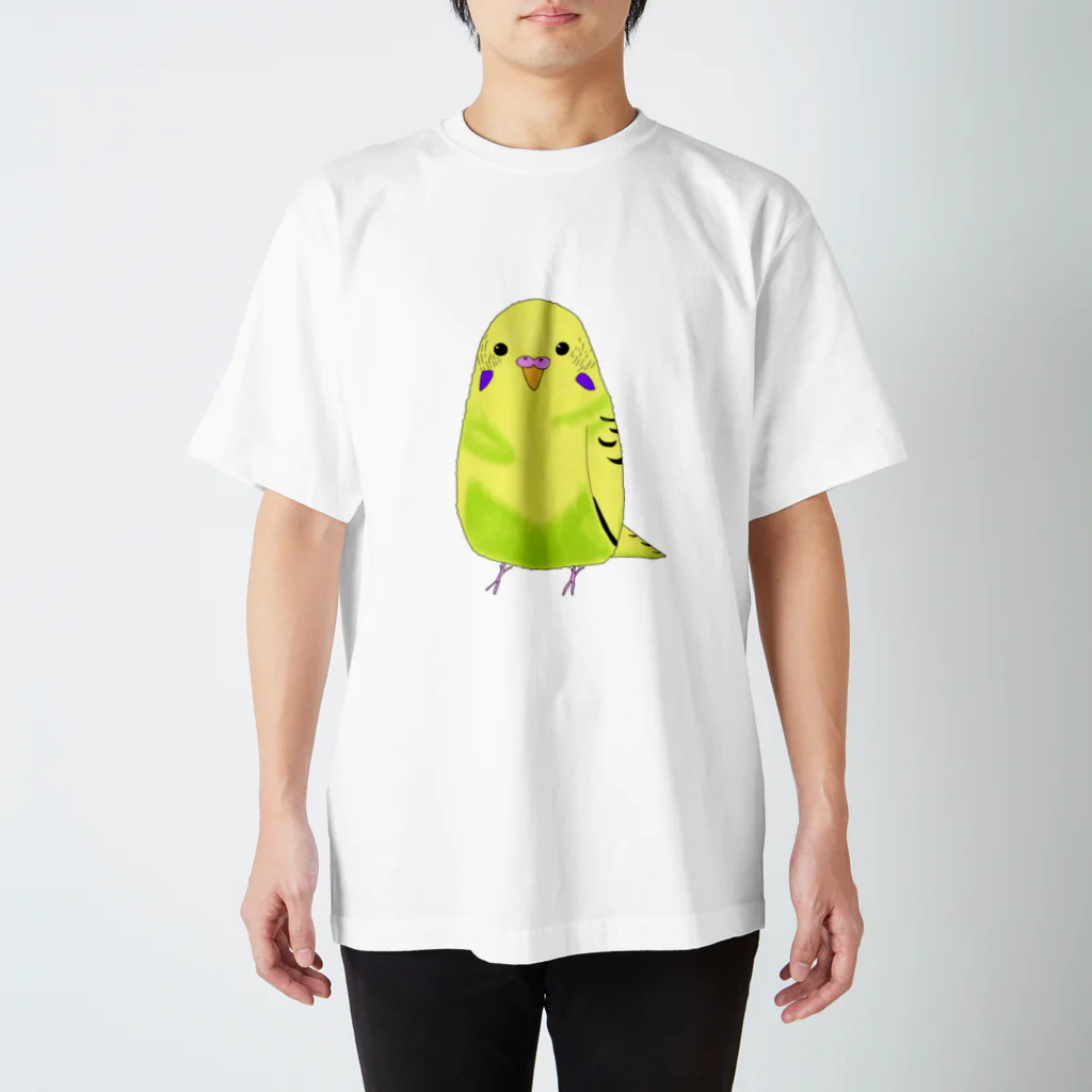 もふもふインコのけいちゃんのくりくりおめめのもふけいちゃん スタンダードTシャツ