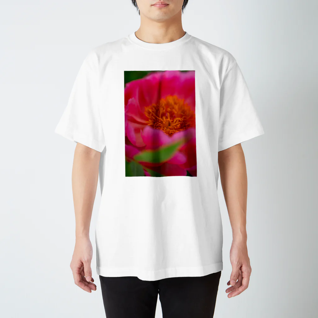 てぃぴおの芍薬 Regular Fit T-Shirt