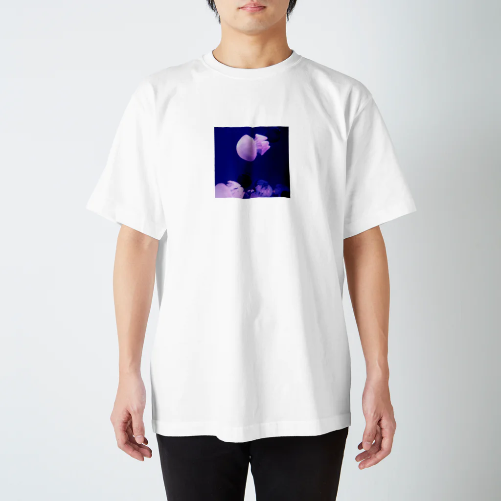 メロン味が食べたいのjellyfish スタンダードTシャツ