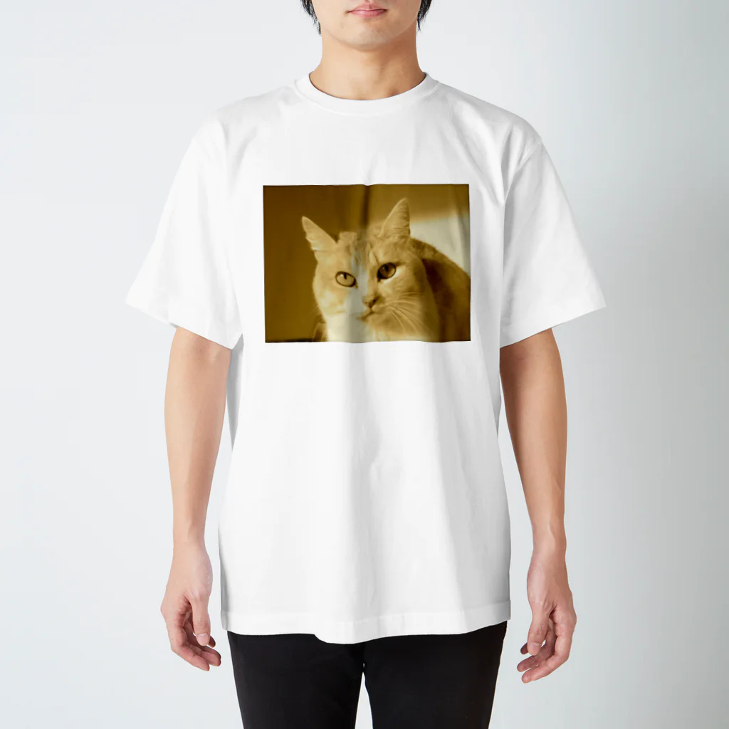 ムエックネの猫 スタンダードTシャツ