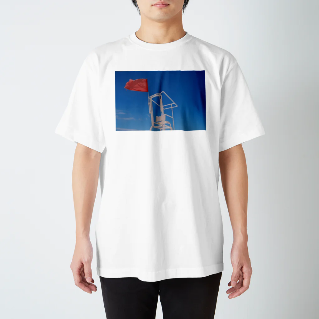 BungaTomaのSky and nothing スタンダードTシャツ