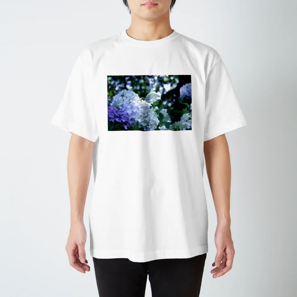 虎徹 雷蔵丸の木漏れ日と紫陽花 スタンダードTシャツ