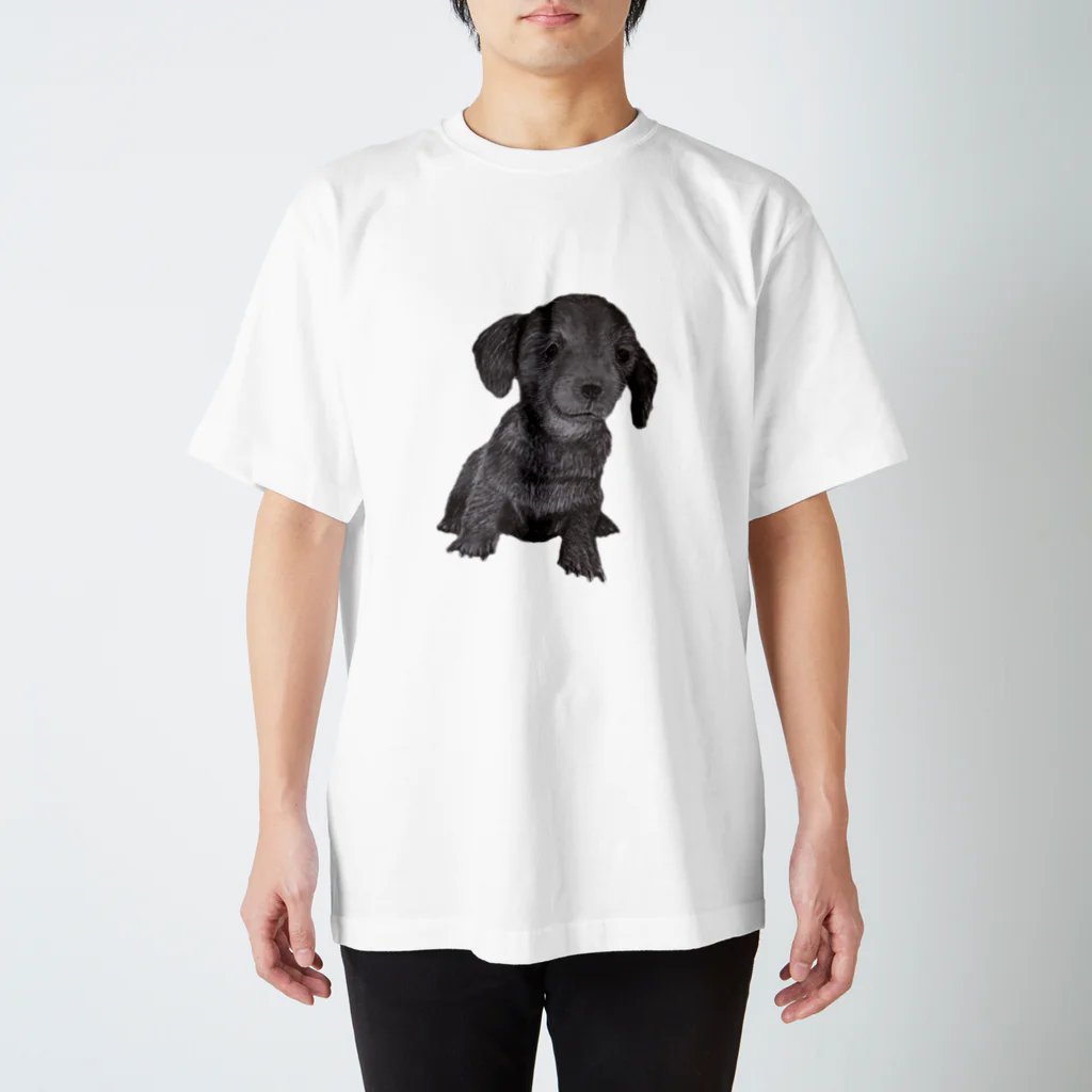 J's Art GalleryのPuppy T shirt 티셔츠