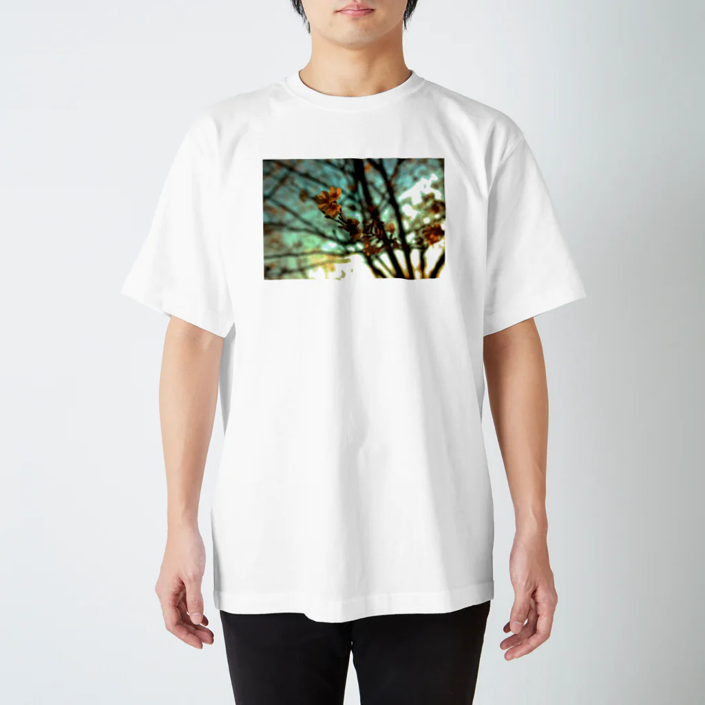 M.F.Photoの夕空と桜 スタンダードTシャツ