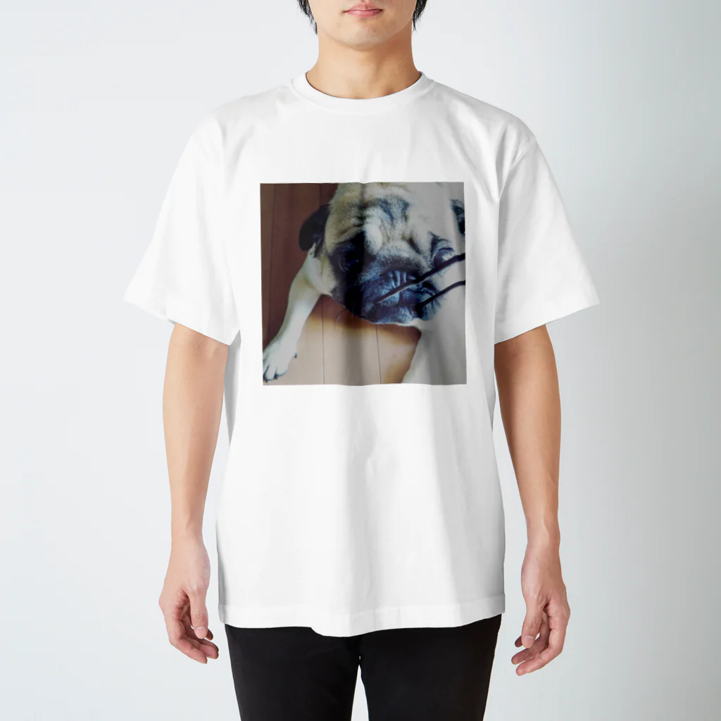 emadaのぱぐるみ Regular Fit T-Shirt