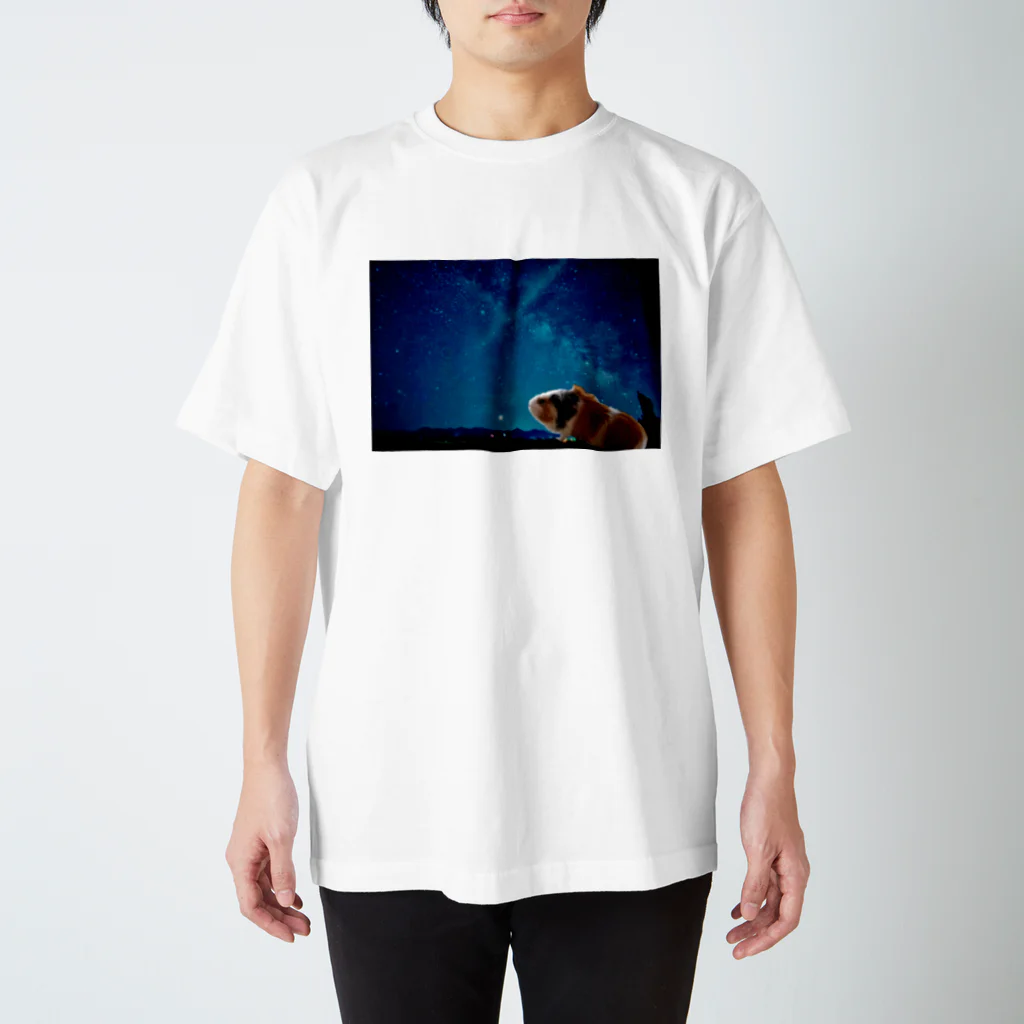 齧歯類ちゃんの星空の下のモルチャン Regular Fit T-Shirt