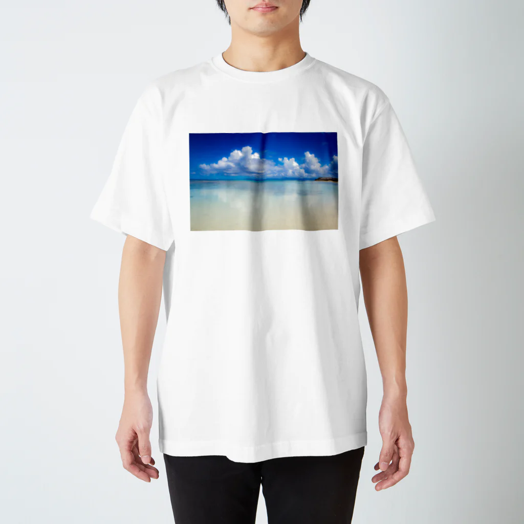 mizuphoto galleryのDreaming blue Regular Fit T-Shirt