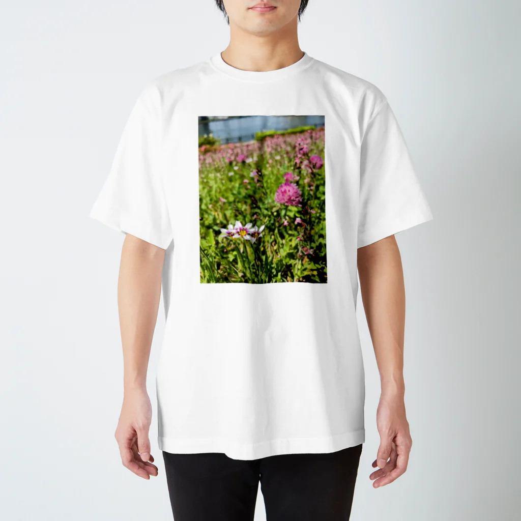 ほぼひめ。の野原 スタンダードTシャツ