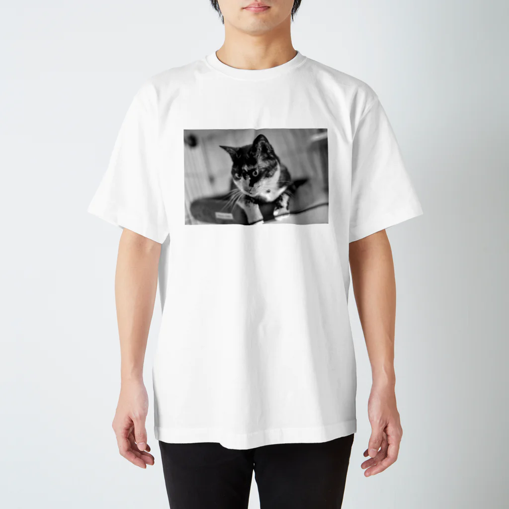 犬 猫 大好き！の猫 Tシャツ、リンガーTシャツ、トートバッグ、マグカップ Regular Fit T-Shirt