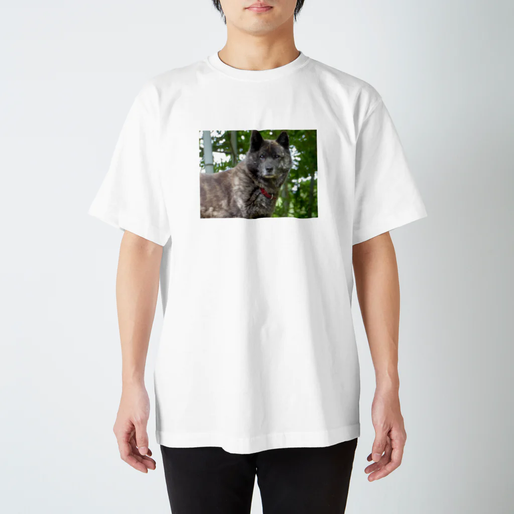 kaiken-momoの甲斐犬もも スタンダードTシャツ