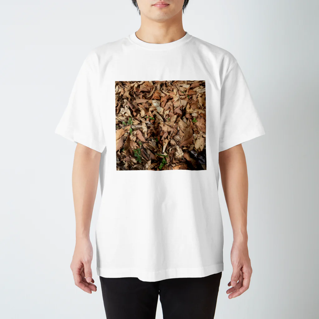 名も無き屋の春の落葉 Regular Fit T-Shirt