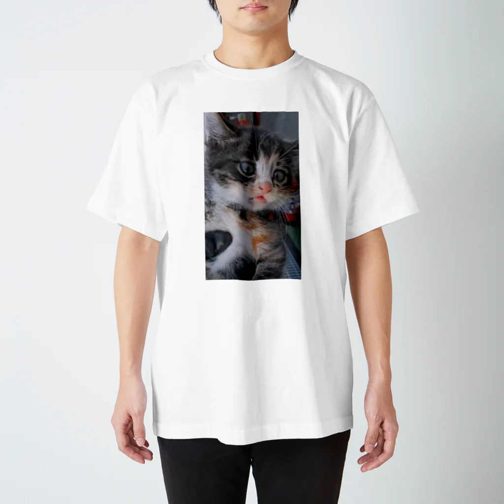 こまちののらねこ2 スタンダードTシャツ