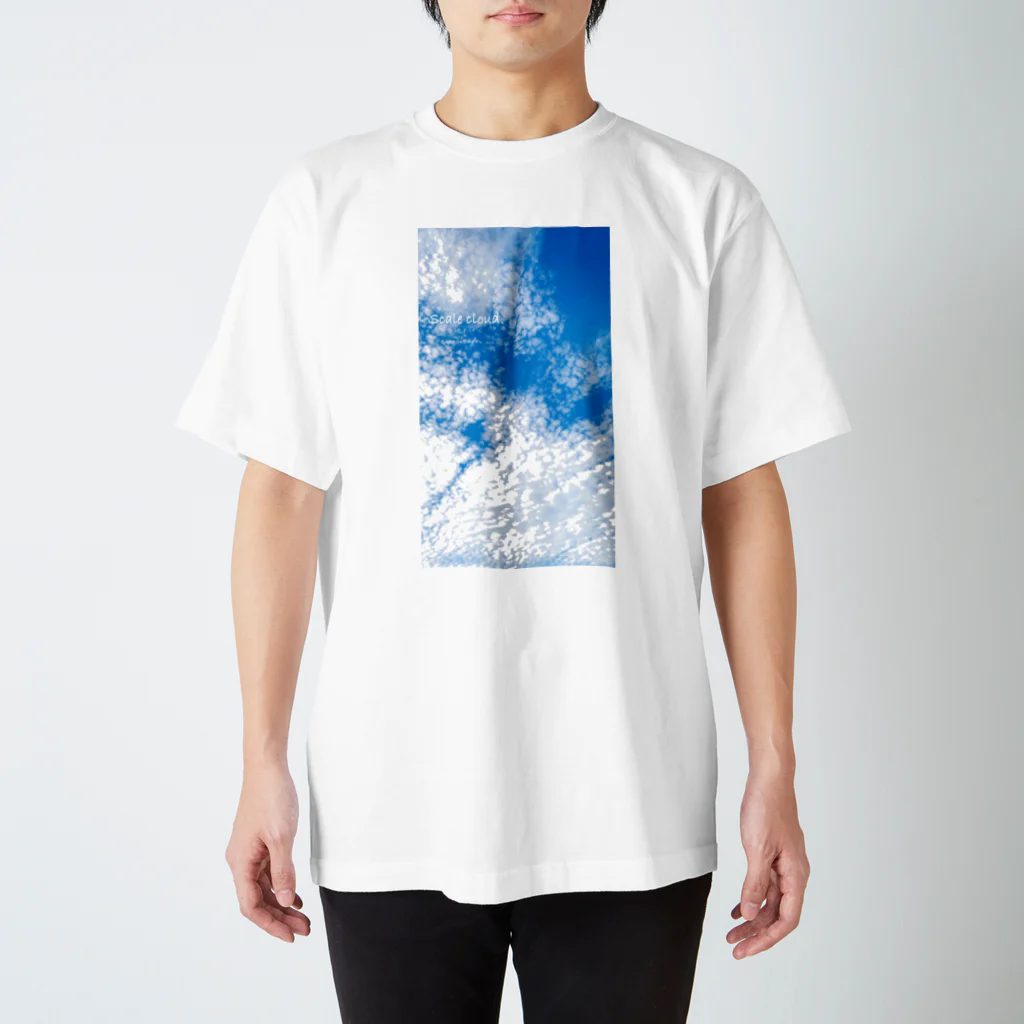 。。。cream*cafe。。。のScale cloud. スタンダードTシャツ