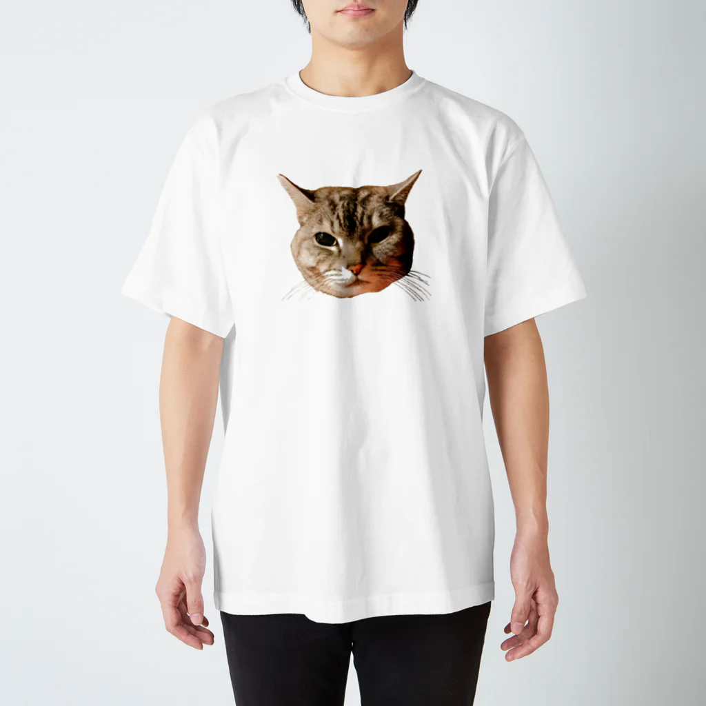 げんきもりもりのぽろにゃん猫のシュラ Regular Fit T-Shirt