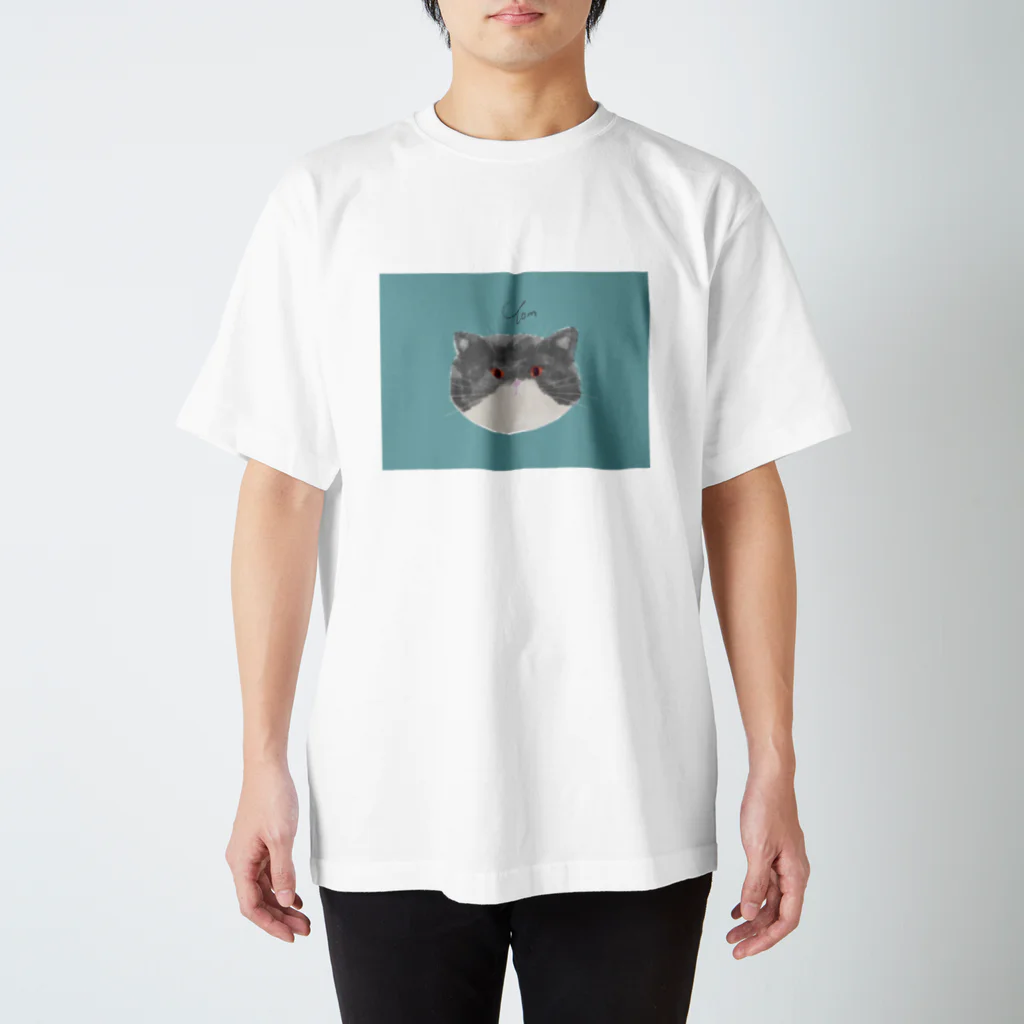 空っぽの飼い猫のトムちゃん スタンダードTシャツ