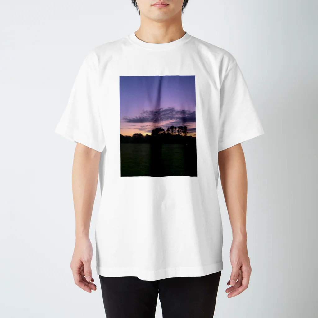 みいたろの外国行きたい Regular Fit T-Shirt